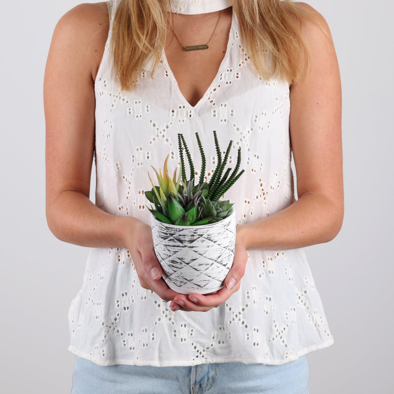 7.75" Artificial Succulent in Planter