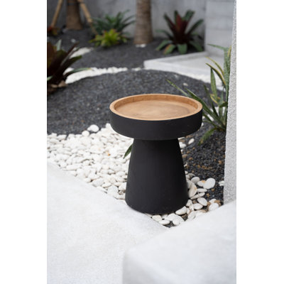 Negin Solid Wood End Table