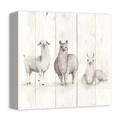 Animals
