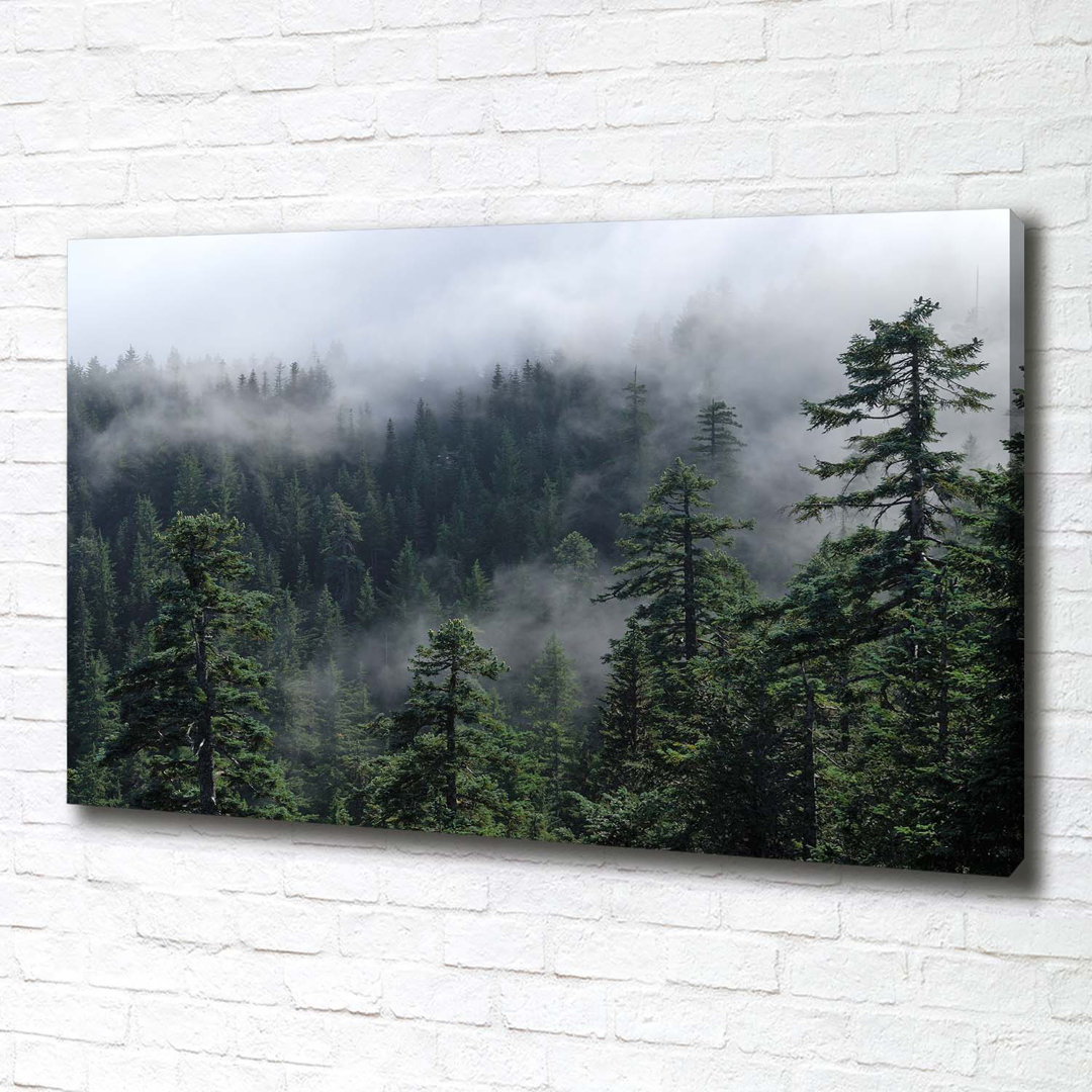 Waldnebel - Kunstdrucke auf Leinwand - Wrapped Canvas