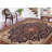 Clarence Indoor Rug-1509395154