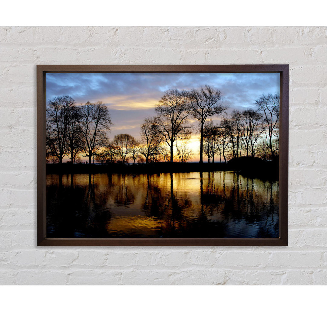 Woodland Lake At First Light - Einzelner Bilderrahmen Kunstdrucke auf Leinwand