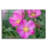 " Textures 17 " by Gordon Semmens-1275876741