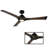 60" Woody 3 - Blade Outdoor/Indoor Smart Propeller Ceiling Fan with LED Light Kit and Remote Control Included, Works With Alexa and iOS or Android App, Graphite/Weathered Gray-48482666-100708470-100708472