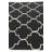 5x8 Pharris Black Rug