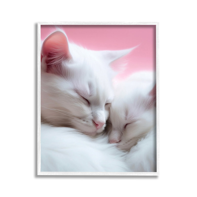 «Sleeping Cats on Pink», estampe numérique encadrée par RB, Giclée encadrée noir minuit, H 14 po x l 11 po