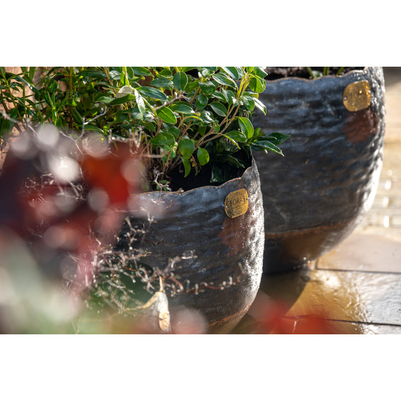 Alessio Metal Pot Planter