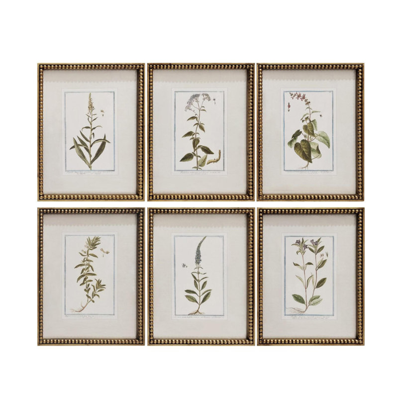 Botanique Collection Framed Prints - Gallery Set of 6