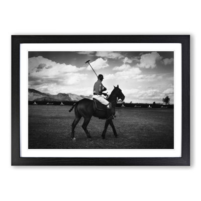 Polo Horse Framed Print