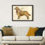 Golden Retriever encadré sur papier
