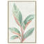 Gingembre II - reproduction d'art-55542019-55542020