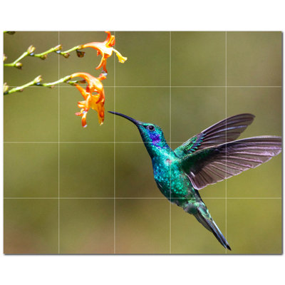 Bird Photo 4.25'' x 4.25'' Satin Ceramic Decorative Mural