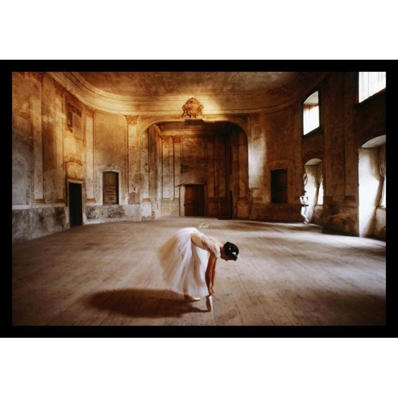" The Rehearsal Ballet Girl "
