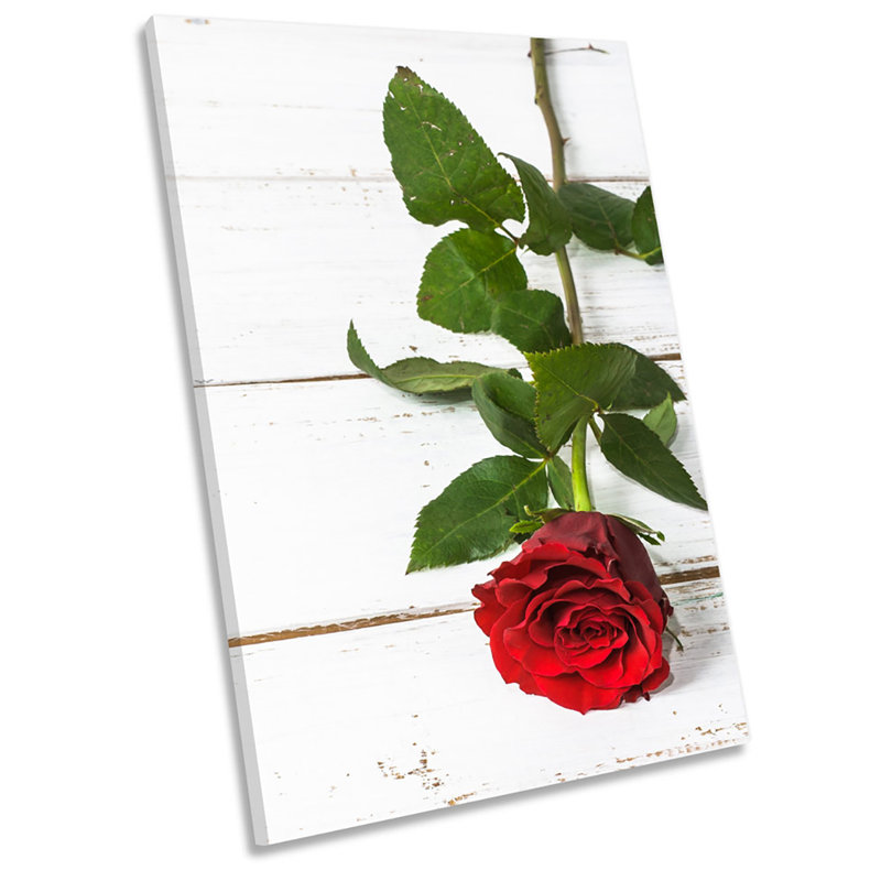 Rose On Floorboards - Wrapped Canvas Print, 76.2cm H x 50.8cm W