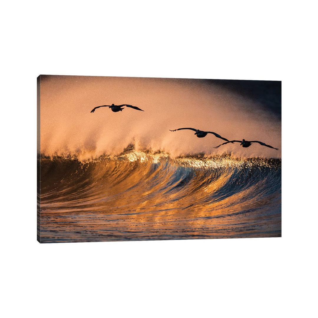 3 Pelicans and Wave by David Orias - Wrapped Canvas Photograph