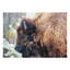Nomadic Grazer - Art mural