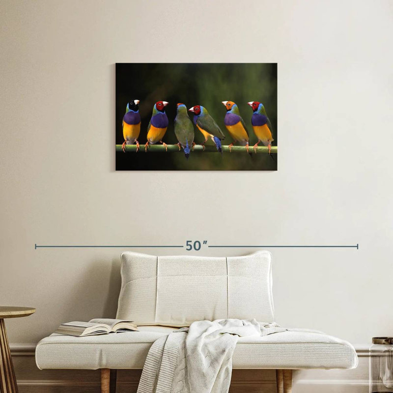 Gouldian Finch I, H 20 po x l 30 po