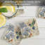 Ensemble de 4 sous-verres Hummingbird Study