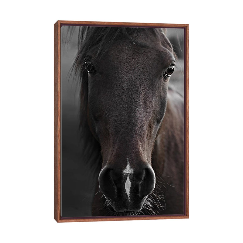 Imprimé cheval foncé par Monika Strigel, Pas de tapis, H 40 po x l 26 po x P 1,5 po, Toile avec cadre en bois brun classique
