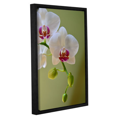 Orchidée délicat, reproduction de photo encadrée