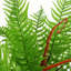 60cm Faux Fern Plant