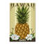 Ananas, impression sur toile tendue-21939802