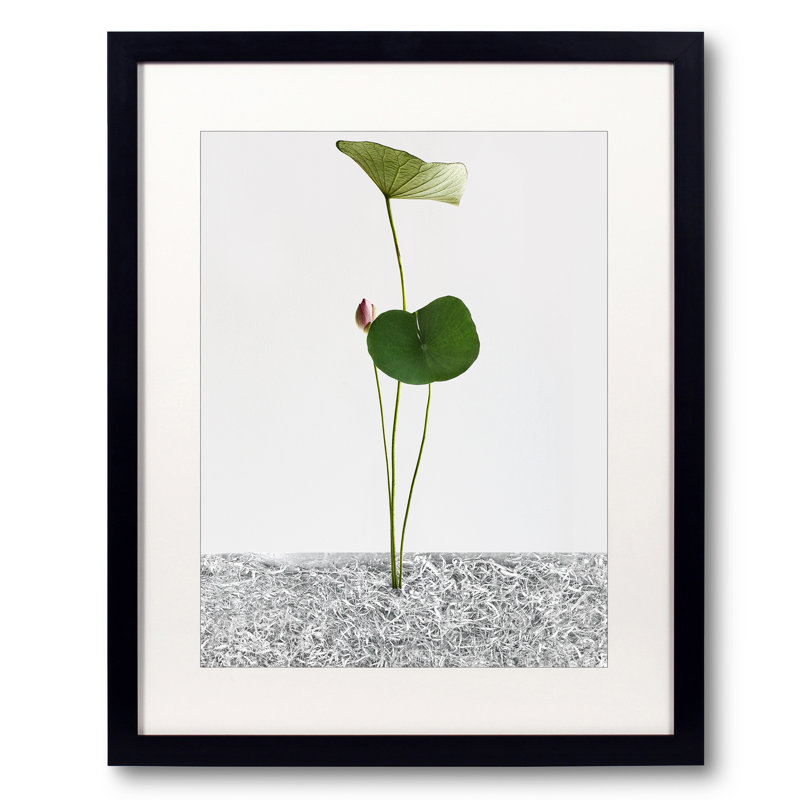 White Light #002 Print by Keiichiro Muramatsu