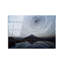 Boze Wall Decor