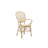 Jenkintown 17.7'' H Armchair-113086083