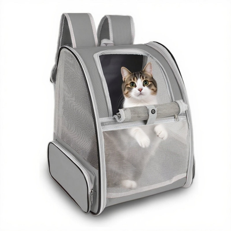 Sac à dos pour petits chiens