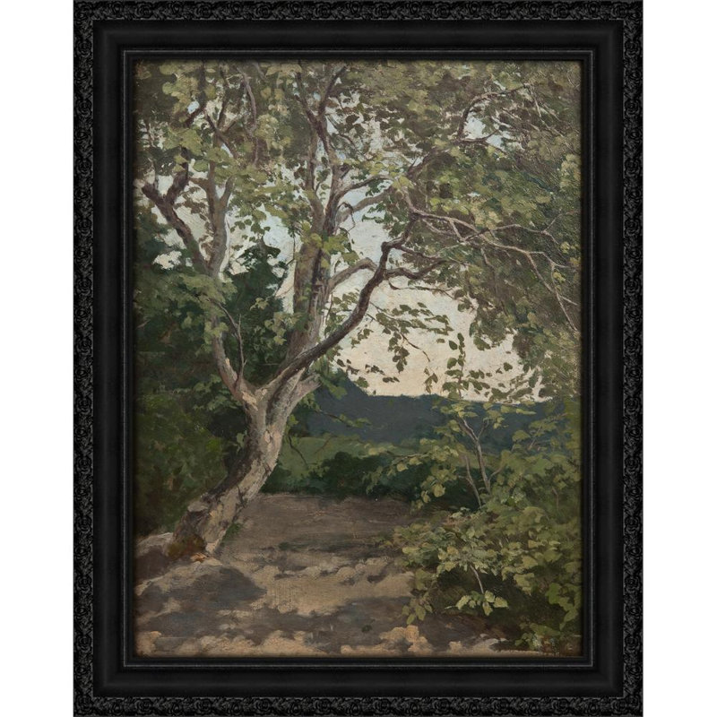 A Tree. Study, 24" H x 19" W