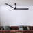 Alessandra Ceiling Fan-1879622971-1930603221-1879622957
