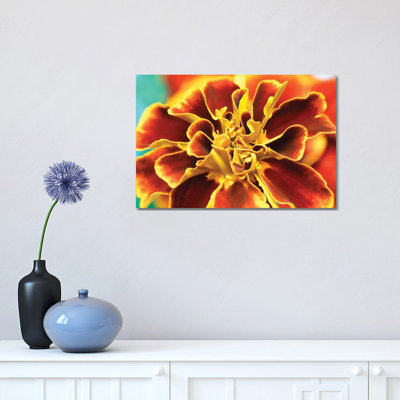 Calendula 1 Piece Wrapped Canvas Wall Art