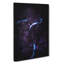 Road Through A Forest In Honduras - Wrapped Canvas-55324243