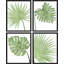 «Pastel Green Tropical Palm Leaf», ensemble de 4 reproductions de cadres photo simples-97762629-97762634