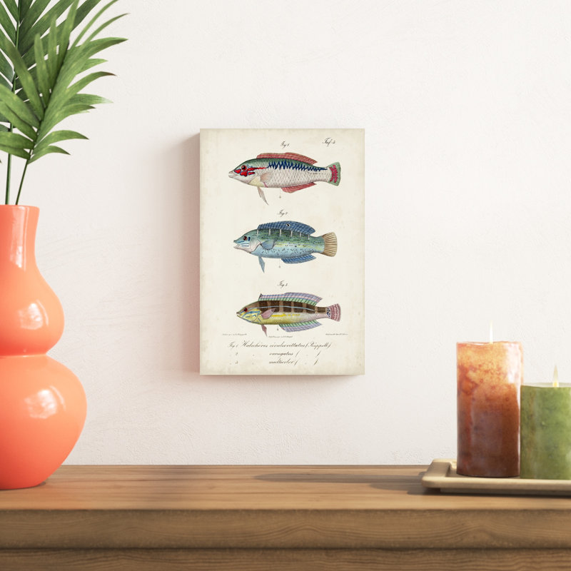 " Antique Fish Trio II ", 12" H x 8" W x 1.25" D