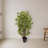 Bamboo Tree with Planter-1223083804