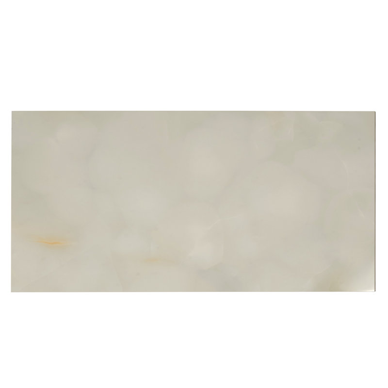 Carreau de sol onyx en porcelaine grand format 24 x 48 Splendor (15,5 pieds carrés / caisse) - paquet de 2, Fossilisé