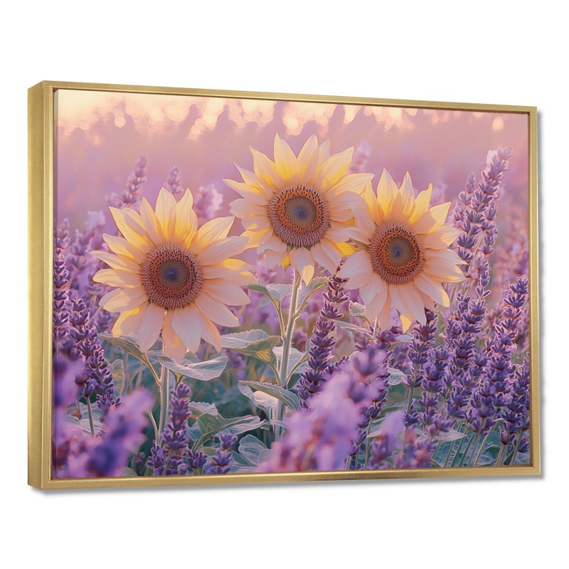 Tournesols Craney dans un champ de lavande au coucher du soleil - Tournesols, art mural, H 30 po x l 40 po, Doré