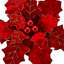 Tige de poinsettia 22 "royauté-742976870