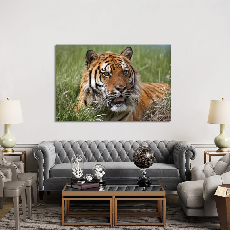Siberian Tiger Portrait, Endangered, Native To Siberia I by Tim Fitzharris - Wrapped Canvas Print, 152.5 cm H x 101.5 cm W