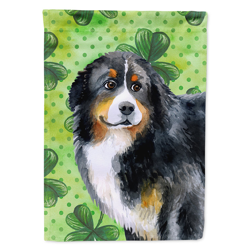 40 x 28 po en polyester à 2 côtés de la st patrick drapeau maison, Bouvier bernois noir