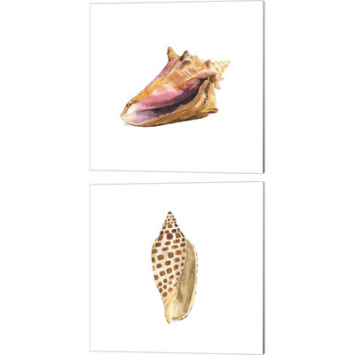 «Oceanum Shells White A» par Tara Reed, art sur toile (ensemble de 2)