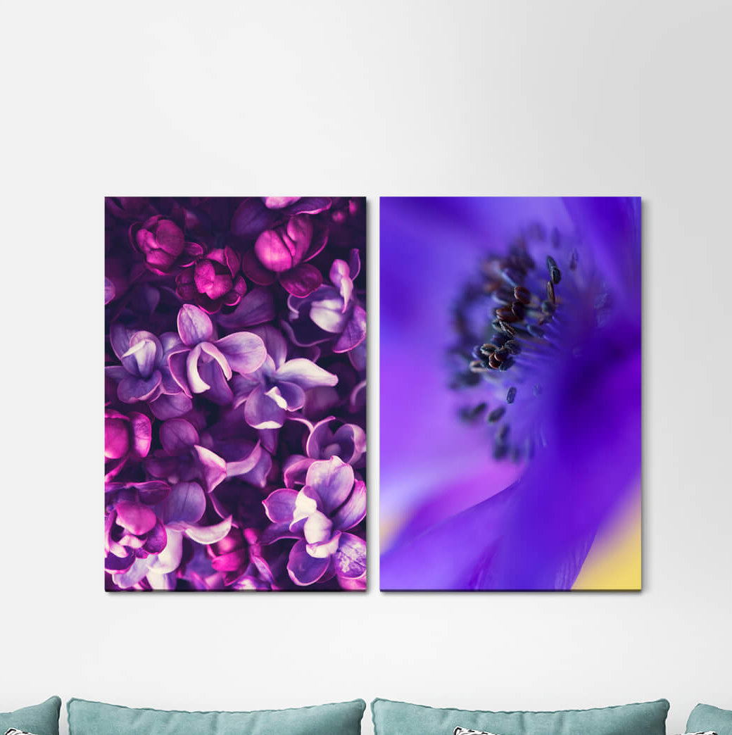 2-tlg. Leinwandbilder-Set - Fotografie „Orchids Flowers Blossoms Summer Soft Fragrant”