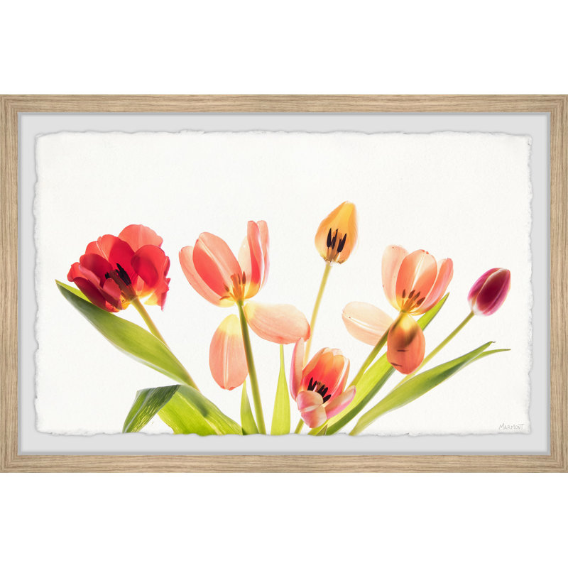 Pursue Your Dreams by Marmont Hill - Single Picture Frame Painting, 20cm H x 30cm W