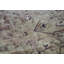 Hand-Knotted High-Quality Gold Area Rug