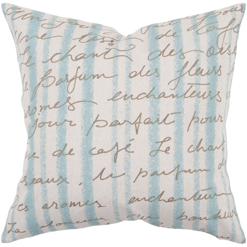  Decorative Novelty Throw Pillow Cover, 22" x 22"