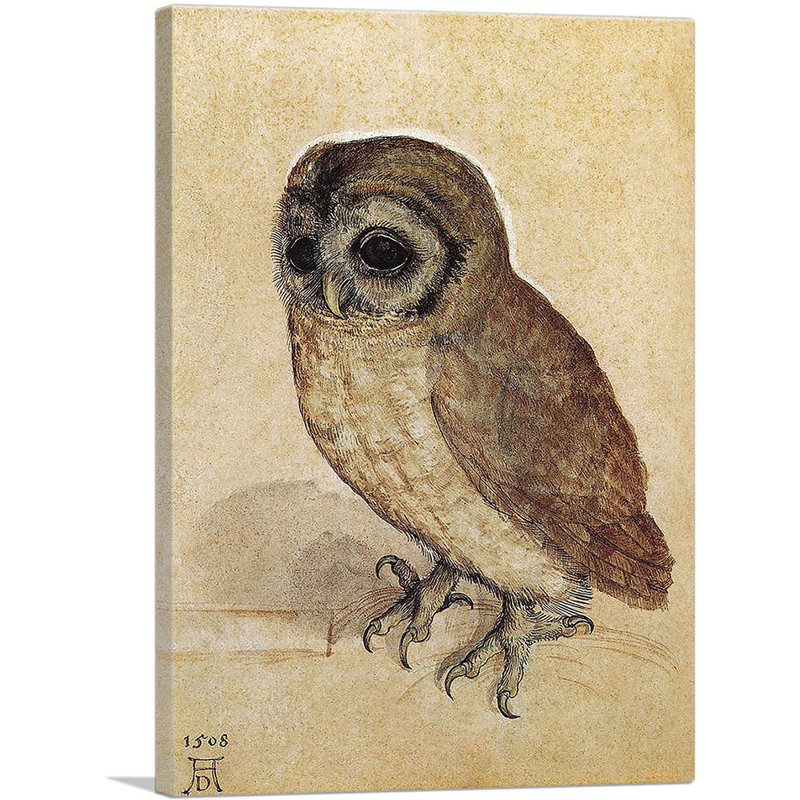 La petite chouette - 1506 par Albrecht Dürer - reproduction d'art sur toile tendue, H 26 po x l 18 po x P 0,75 po