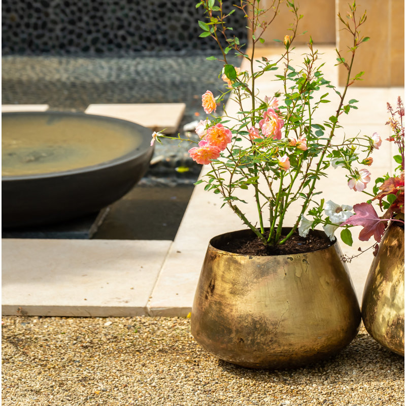Pelaez Metal Pot Planter, 22cm H x 34cm W x 34cm D