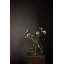 Vase de table Filia-89426004